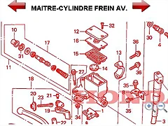 freno freno