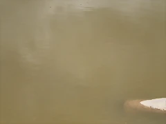 PC291084 [Desktop Resolution]