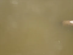 PC291085 [Desktop Resolution]