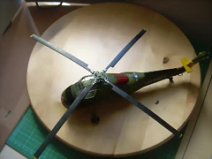 DSCN1542 DSCN1542