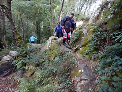 DSCN6983 DSCN6983