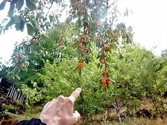 DSCN3501 DSCN3501