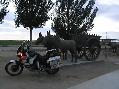 R0010778