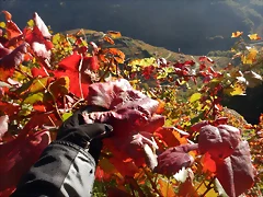DSCN4469 DSCN4469