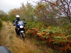 DSCN9892 DSCN9892