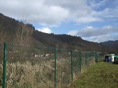 DSCF3393