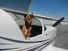 Este piloto esta hecho un animal