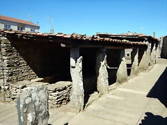 DSCN9547