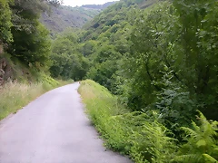 DSCN2235 DSCN2235