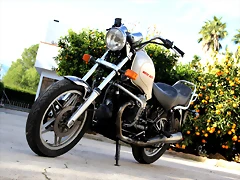 IMG_7195 IMG_7195