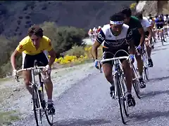 PINO,MILLAR,LAGUIA 1985,san isidro