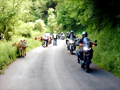 DSCN6764 DSCN6764