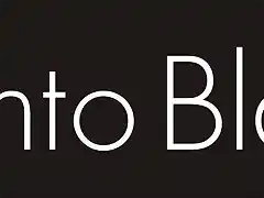 Punto Blanco - logo