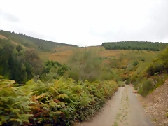 DSCN7155 DSCN7155