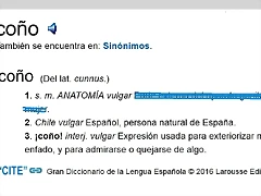 significado de co?o diccionario