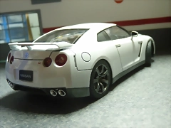 P1110018 P1110018