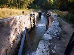 DSCN6431 DSCN6431