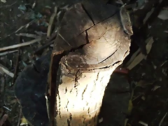 DSCF0970 DSCF0970
