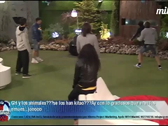 26 enero 4 26 enero 4