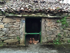 DSCN9547'4