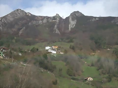 DSCF3396