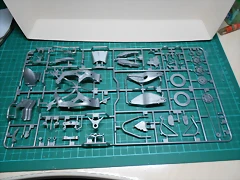 DSCN4055 DSCN4055