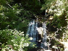 DSCN0079 DSCN0079