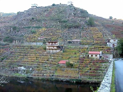 DSCN6463 DSCN6463