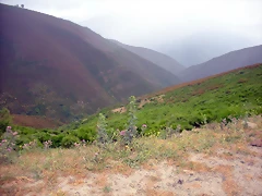 DSCN6303 DSCN6303
