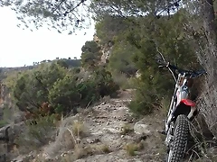 3 3