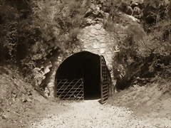 IMG_0012 IMG_0012