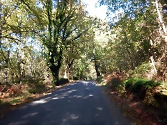 DSCN1085 DSCN1085