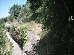 PICT0101