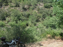 PICT0120