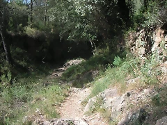 PICT0155