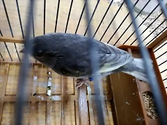 IMG_20171104_100653