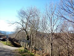 DSCN3631