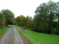 DSCN5818 DSCN5818