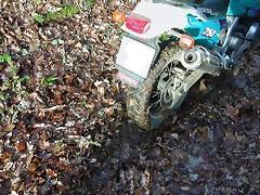 DSCN7209 DSCN7209