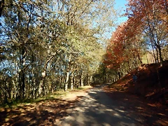 DSCN1079 DSCN1079