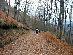 DSCN9644 DSCN9644