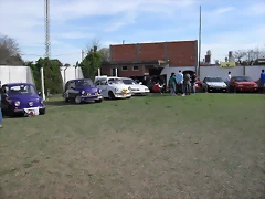 SDC10486 SDC10486