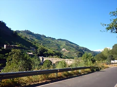 DSCN4235 DSCN4235