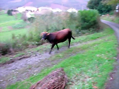 DSCN6325 DSCN6325