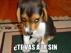 Te-vas-a-ir-sin-comentar Te-vas-a-ir-sin-comentar