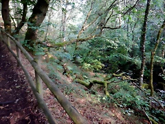 DSCN8417