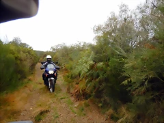 DSCN9894 DSCN9894