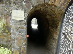 DSCN0762