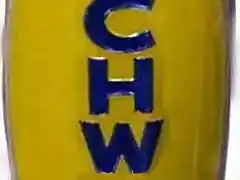 Schwinn amarilla con letras en azul