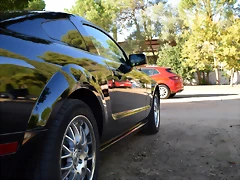 31